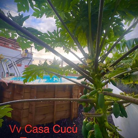 Casa Cucu Villa Tazacorte Ngoại thất bức ảnh
