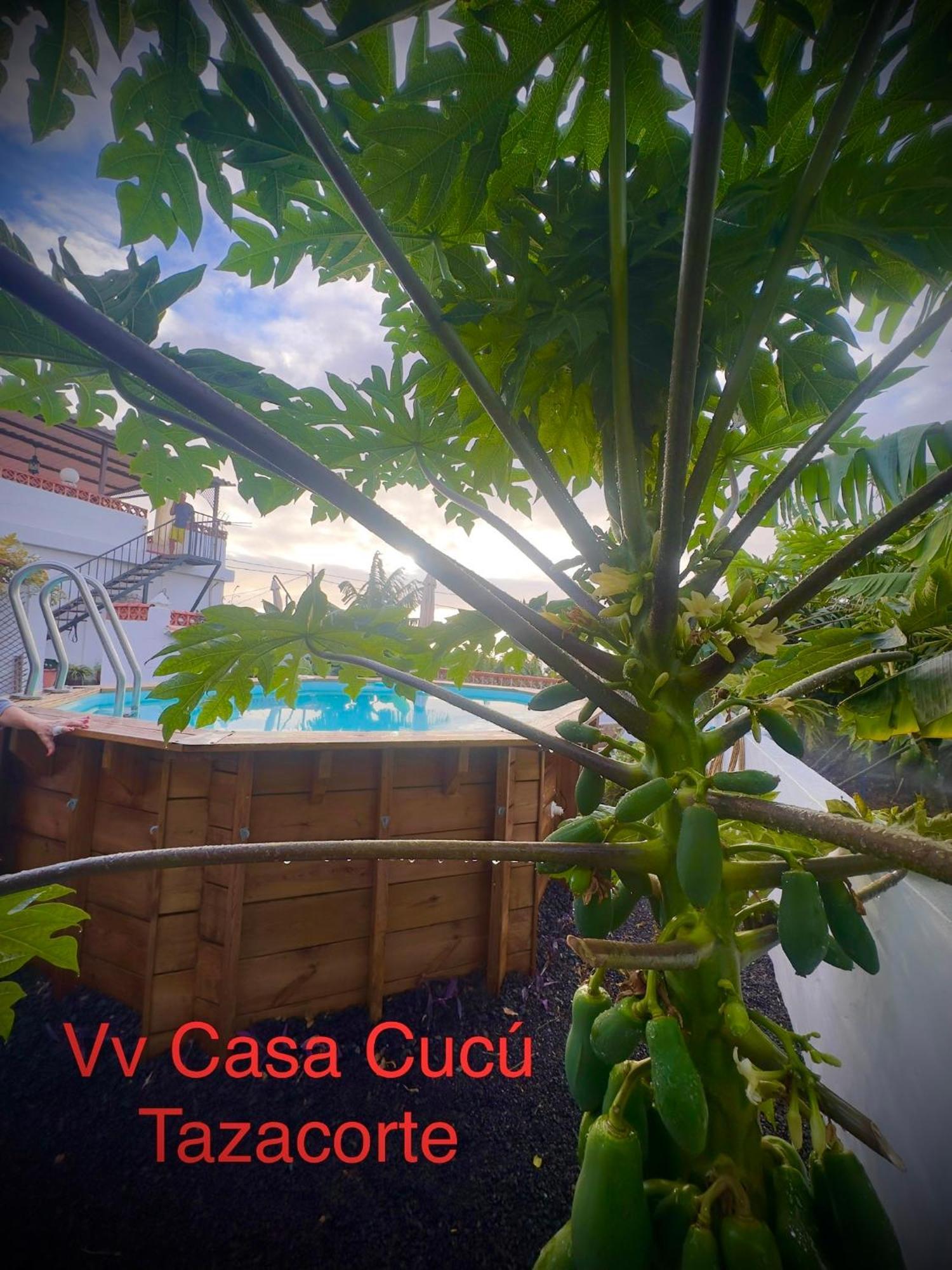 Casa Cucu Villa Tazacorte Ngoại thất bức ảnh