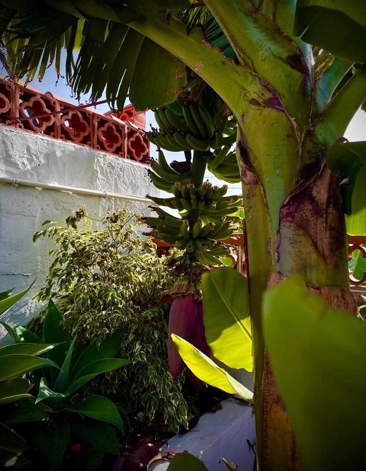 Casa Cucu Villa Tazacorte Ngoại thất bức ảnh